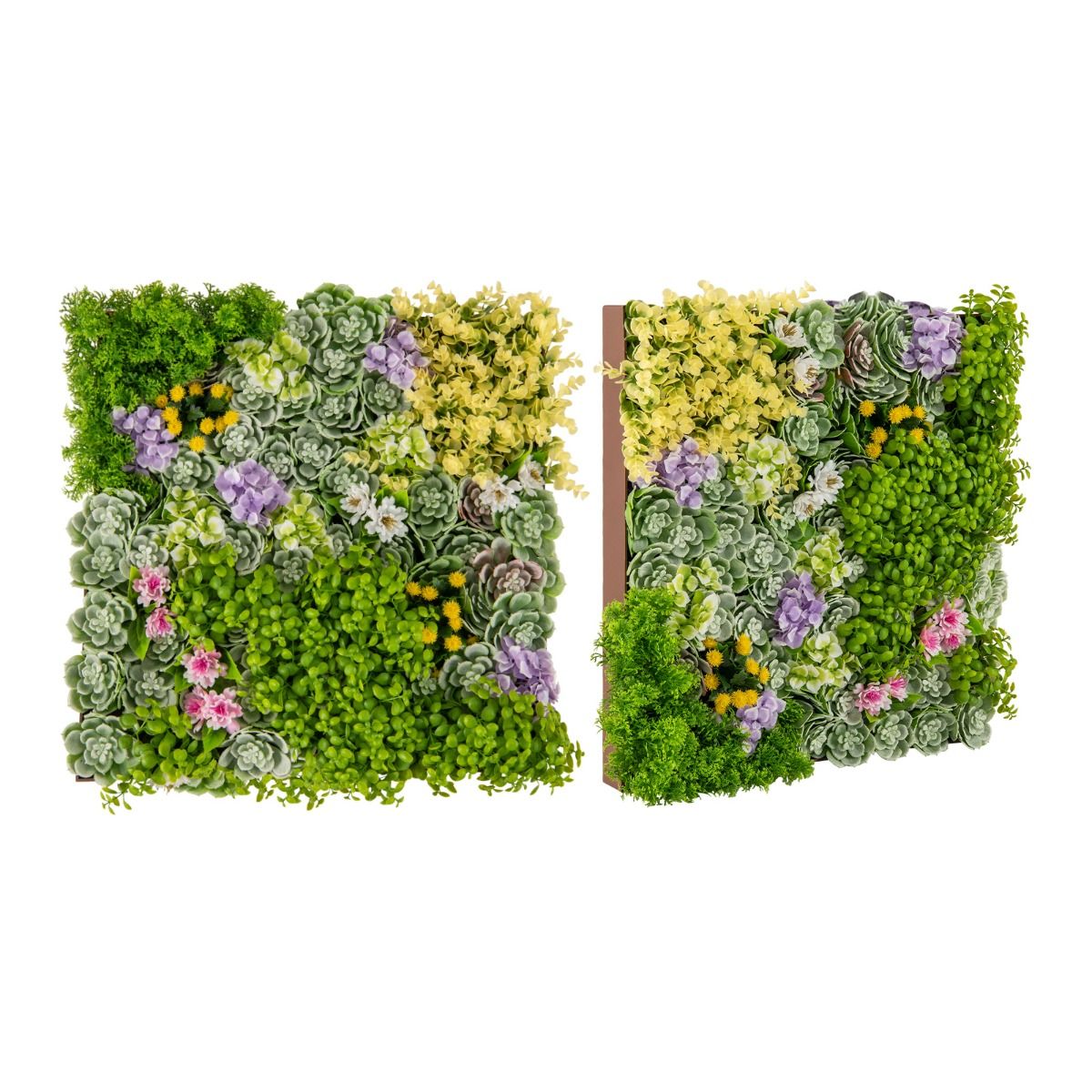 Panneaux muraux Coast avec plantes artificielles - lot de 2 - haie artificielle en 3D - mélange de 10 variétés de plantes - 50 x 50 cm - vert et marron