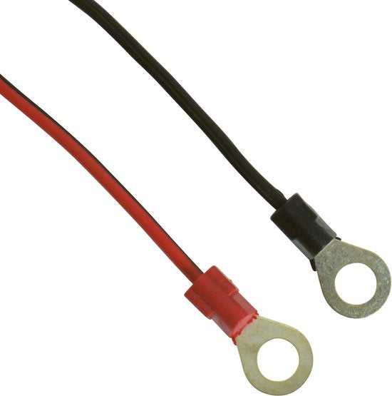Chargeur de batterie Absaar Pro 6.0 (12/24 V - 6 A) 0-120/180 Ah Rouge/noir
