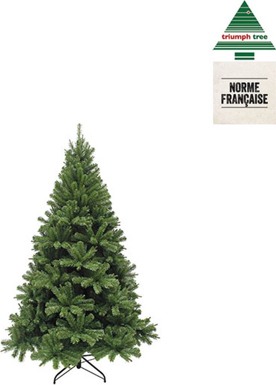 Triumph Tree Forrester Artificial Christmas Tree - H120 x Ø81 cm - Vert
