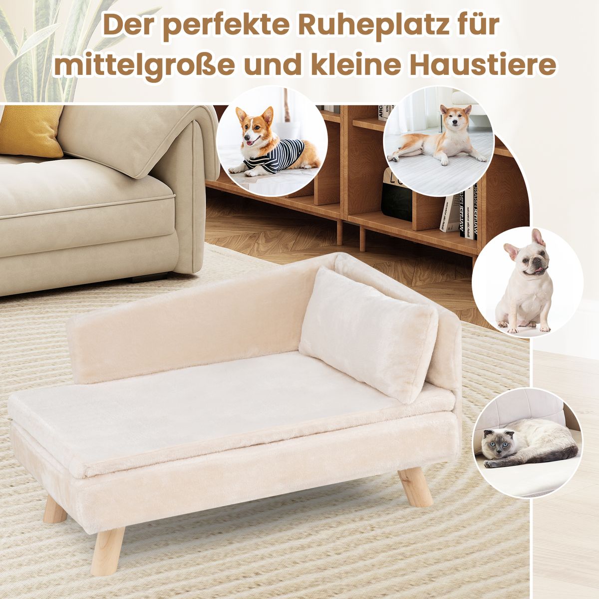 Canapé pour animaux de compagnie Coast - modèle surélevé - pour chiens et chats de petite et moyenne taille - blanc
