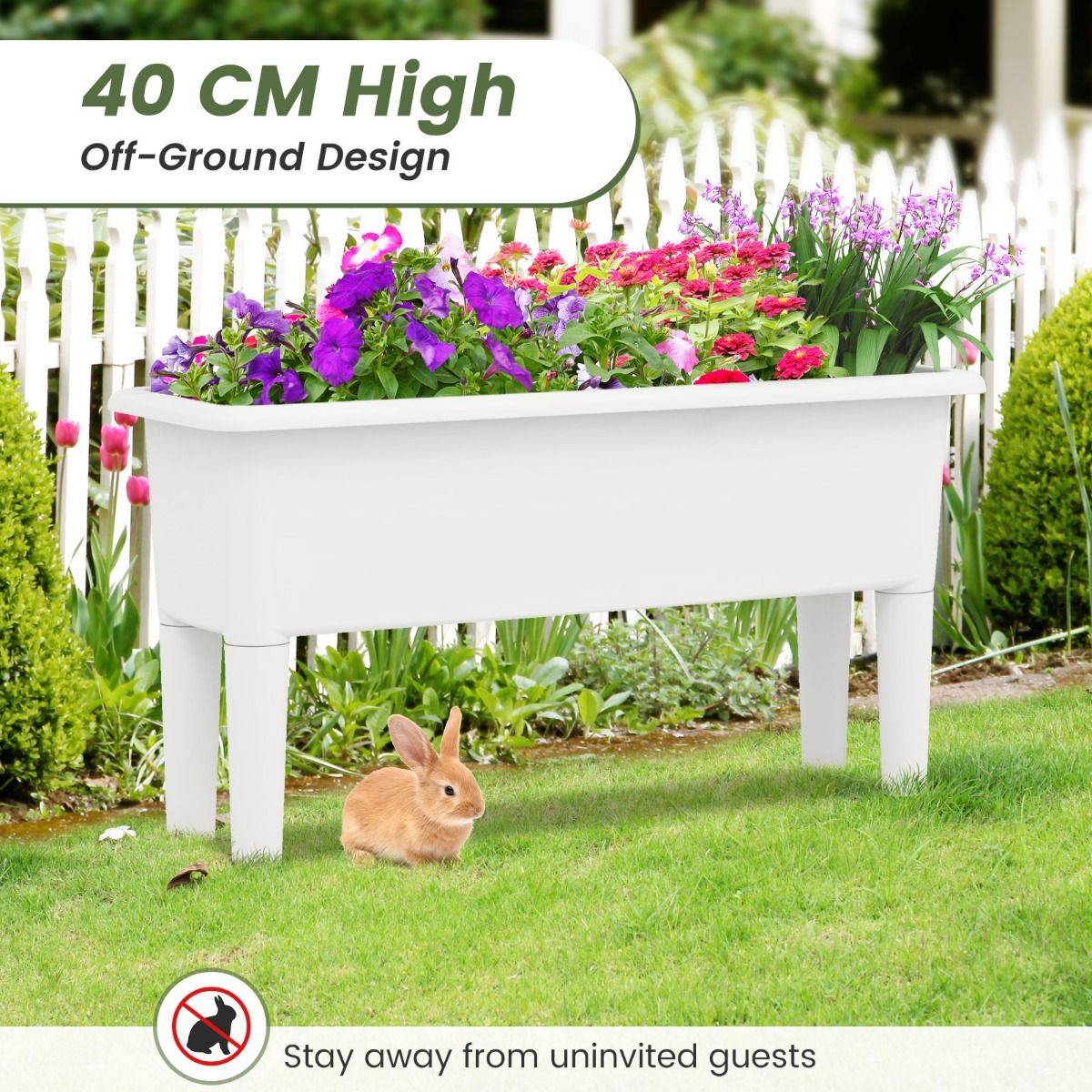 Lot de 2 jardinières surélevées Coast - À arrosage automatique - Pieds amovibles - Café / Blanc