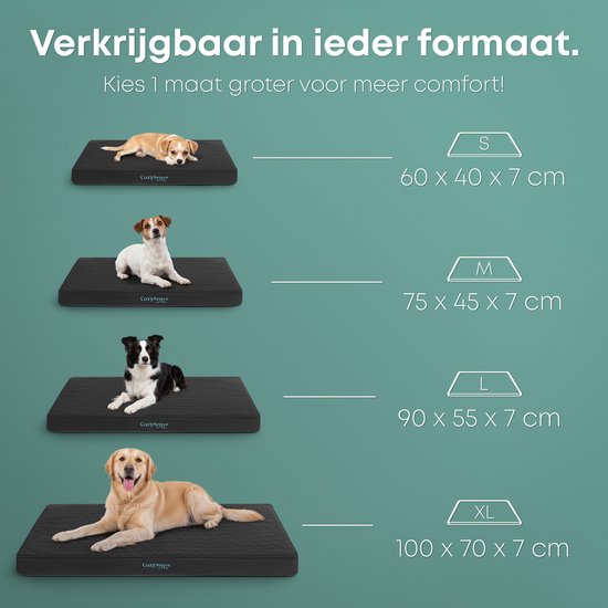 CozySense® Coussin orthopédique pour chien 60 X 40 cm - Taille S - Imperméable - Convient comme coussin de banc et lit pour chien - Housse lavable - Noir