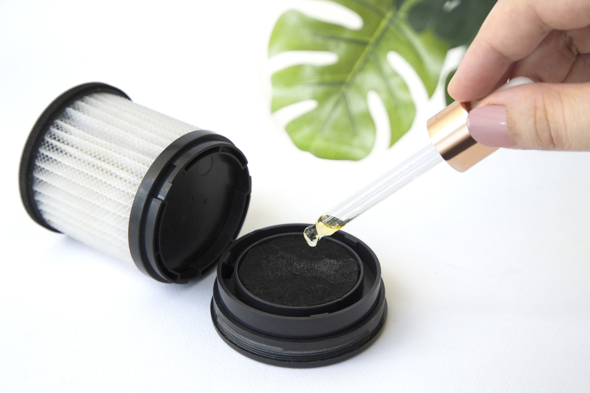 Technaxx Filtre de remplacement pour purificateur d'air
