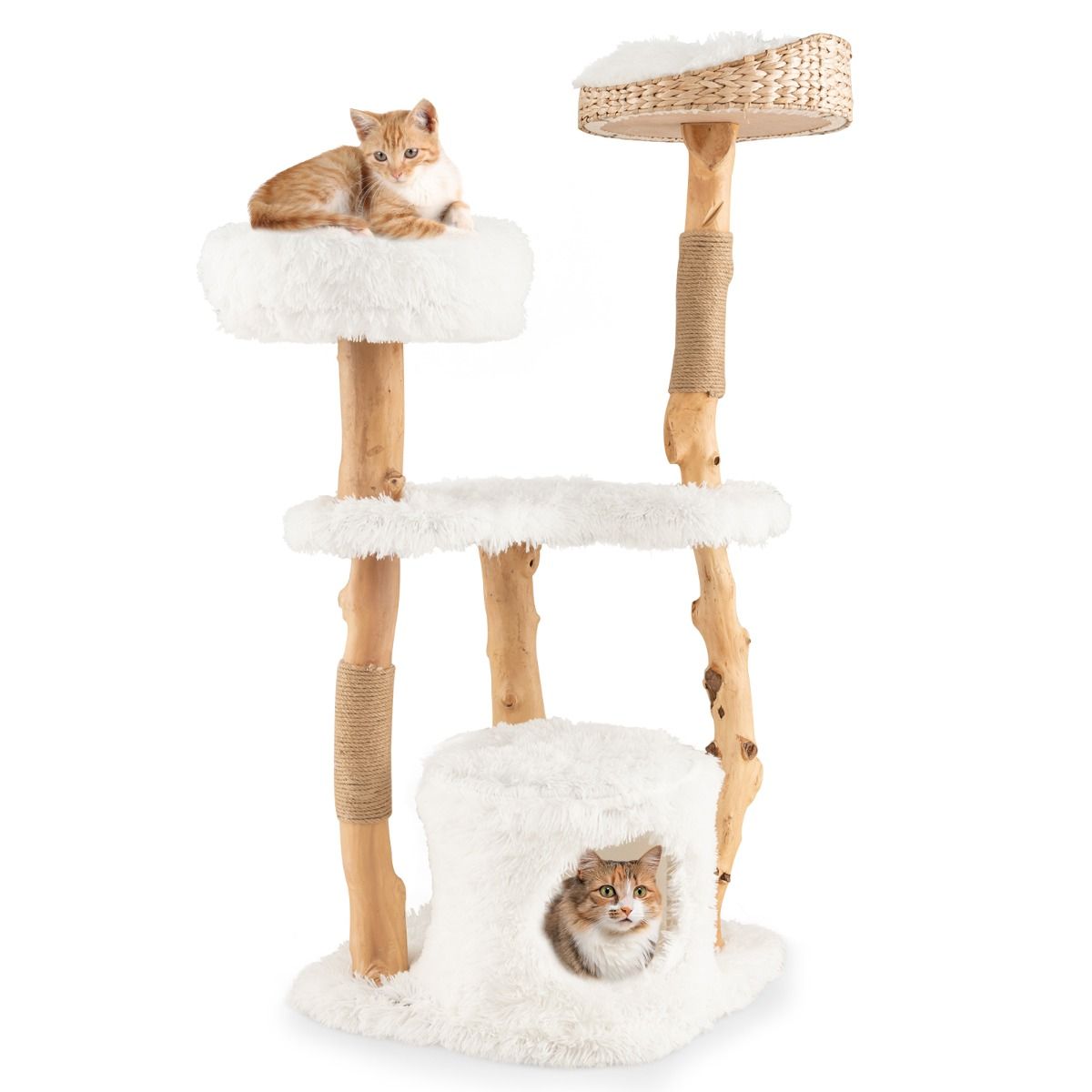 Arbre à chat Coast - Bois massif et jute - 5 niveaux - Naturel et blanc - 124 cm