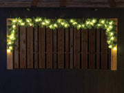 Spike Light LED - 250 cm - 40 lampes leds blanc chaud - fil vert - 31V