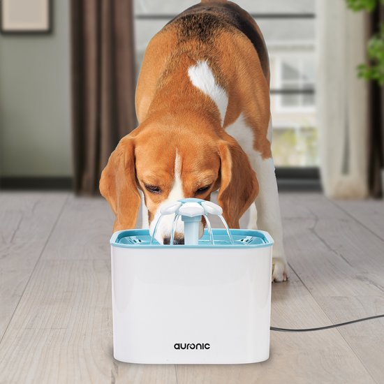 Abreuvoir Auronic - Fontaine à eau pour chien et chat - 2L - Abreuvoir pour animaux - 4 filtres inclus - Blanc