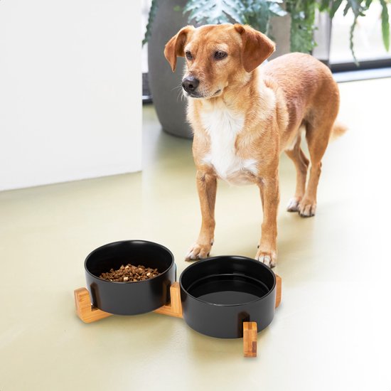 Gamelle chien - Abreuvoir - Avec support - 2x 800 ml - Taille M - Noir