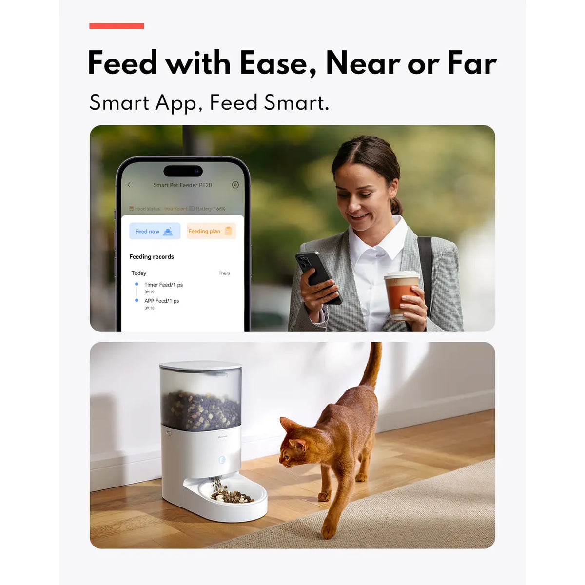 Distributeur automatique de nourriture Homerunpet - commande via application - bol en acier inoxydable