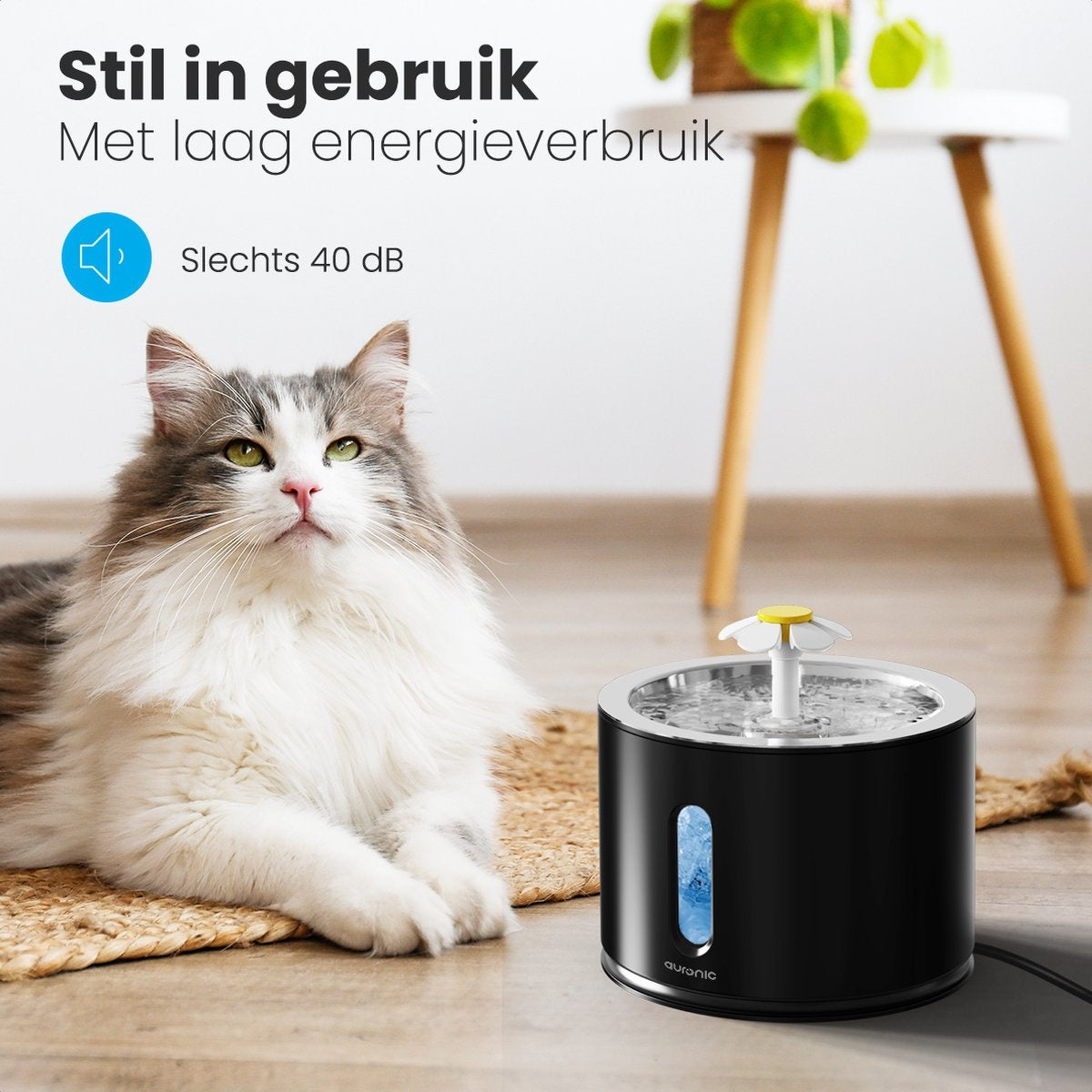 Abreuvoir Auronic - Fontaine à eau pour chats et chiens - 2.4L - Abreuvoir pour animaux - 3 filtres et 2 brosses inclus - Noir