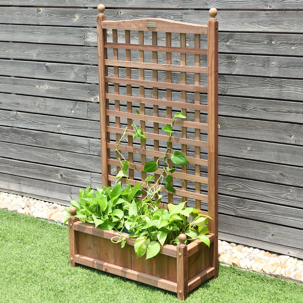 Jardinière Coast avec treillis - jardinière spacieuse - bois de pin massif - marron foncé - 64,5 x 28 x 120 cm