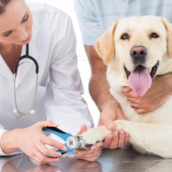 Coupe-ongles professionnel pour chien et chat - Coupe-ongles avec butée de sécurité et lime à ongles - Bleu
