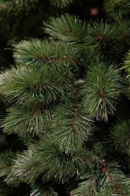 Triumph Tree Camden Artificial Christmas Tree - H215 x Ø142 cm - Vert