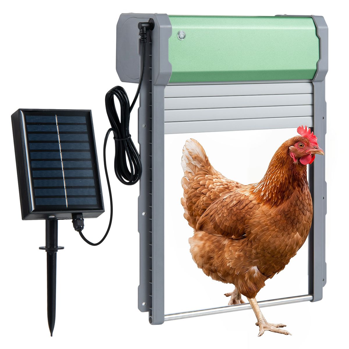 Trappe automatique pour poules Coast - énergie solaire - 4 modes de fonctionnement - vert et argent