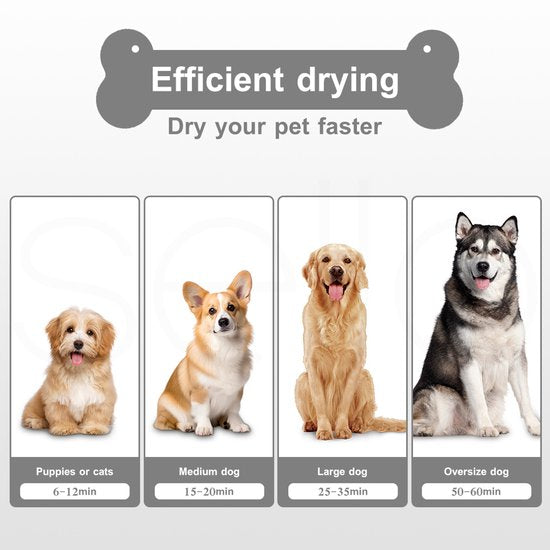 Fuegobird CL-DP Sèche-cheveux pour animaux de compagnie - Sèche-cheveux professionnel pour chiens - Conception silencieuse - 50 dB - Avec 4 embouts - Sèche-cheveux pour chiens - Avec mode aspiration - Blanc