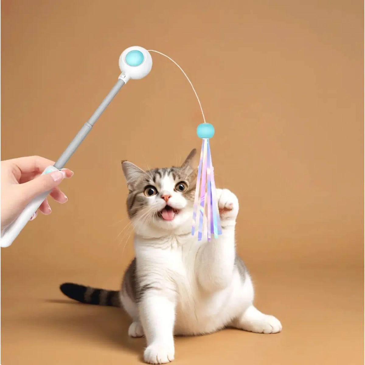 Canne à chat télescopique Petgravity - bleue