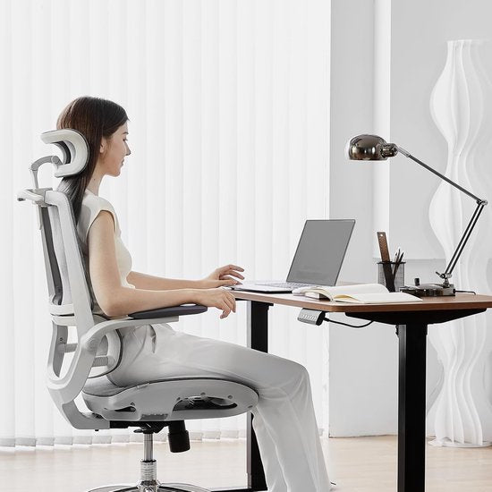 Sihoo M59AS : chaise de bureau ergonomique - Accoudoirs réglables en 3D et rabattables à 90° - Double dossier avec soutien lombaire adaptatif - Coussin d'assise en forme de selle - Maille de haute qualité - Certifié BIFMA/SGS - Jusqu'à 150 kg - 43,5 x 50,