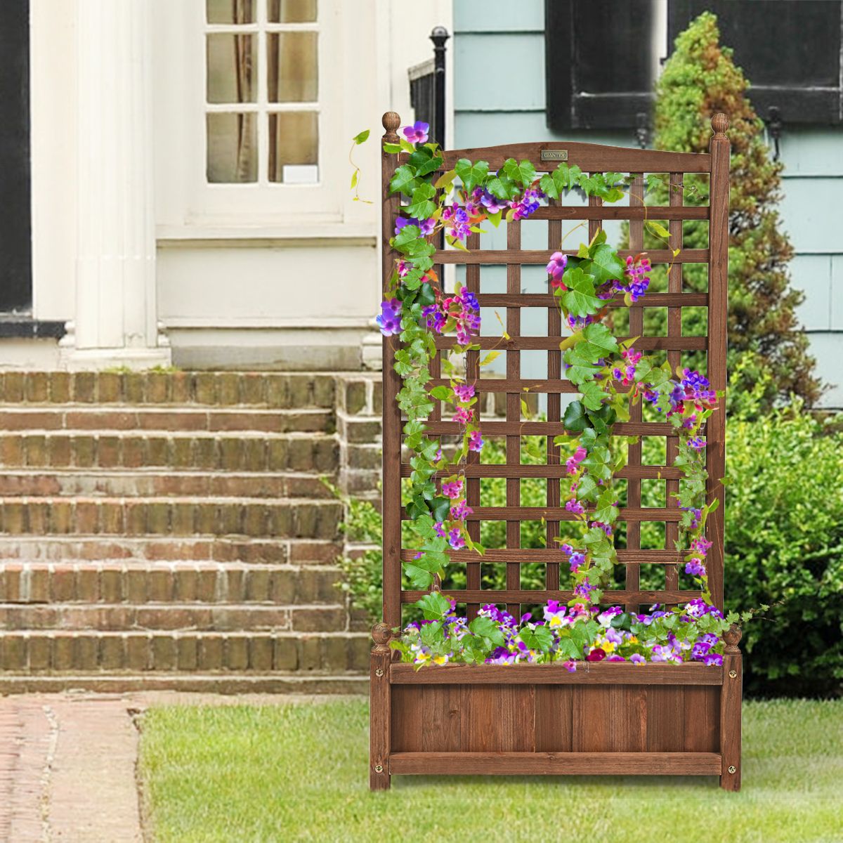 Jardinière Coast avec treillis - jardinière spacieuse - bois de pin massif - marron foncé - 64,5 x 28 x 120 cm