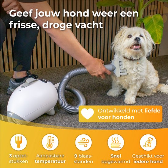 Nuvance - Sèche-cheveux pour chien - Soufflerie d'eau pour chien - 2100W - avec 3 accessoires - Sèche-cheveux pour chien - Soufflerie d'eau pour chien - Puissance réglable - Fourneau pour chien - Blanc