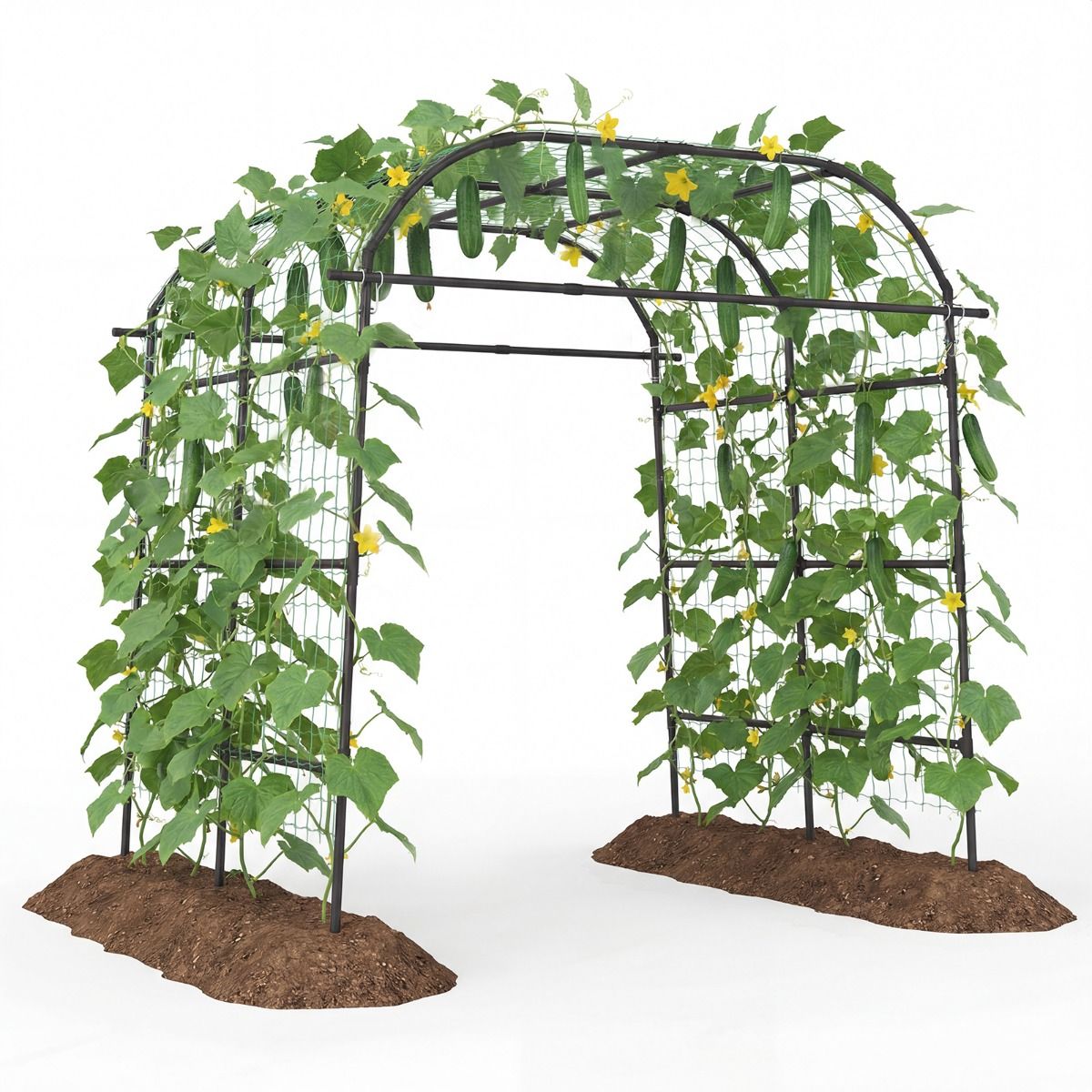 Arceau pour plantes grimpantes Coast - Treillis de jardin en forme de U - Structure métallique - Noir - 205,5 x 181 x 230 cm