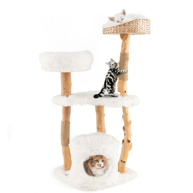 Arbre à chat Coast - Bois massif et jute - 5 niveaux - Naturel et blanc - 124 cm