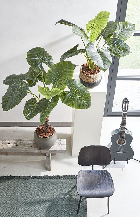 Mica Decorations Plante Artificielle Taro - H100 x Ø70 cm - Vert