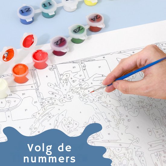 Rubye® Painting By Number Adults - Bibliothèque - Pinceaux inclus - Toile Peinture sur toile - Colour by Number - 50x40cm