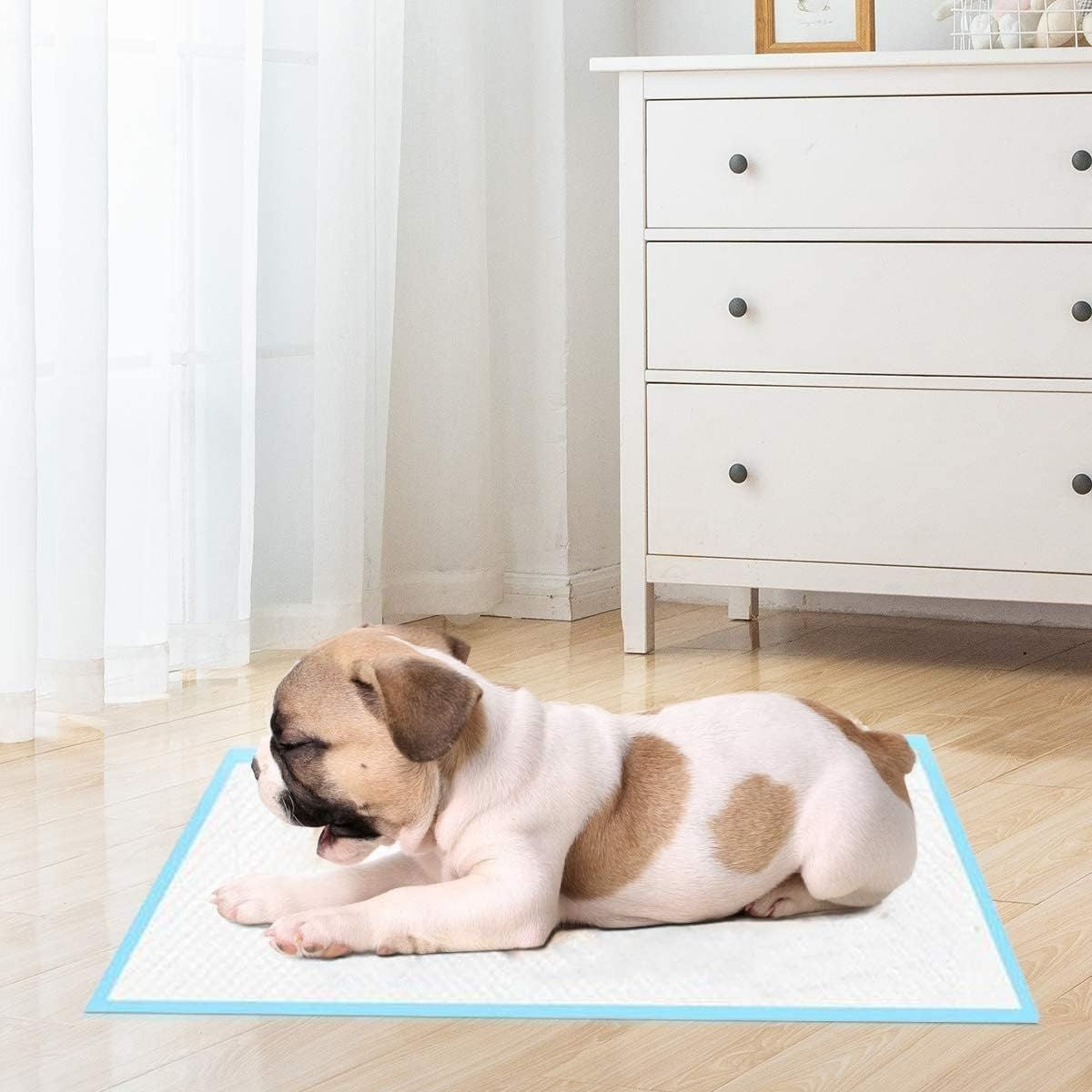 Tapis d'entraînement pour chiens Tapis de chiots étanches à 5 couches Tapis hygiéniques jetables (100 pièces 60 x 90 cm)