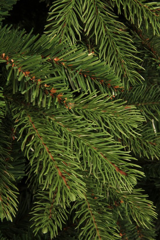 Black Box Trees Brampton Artificial Christmas Tree - H185 x Ø127 cm - Vert