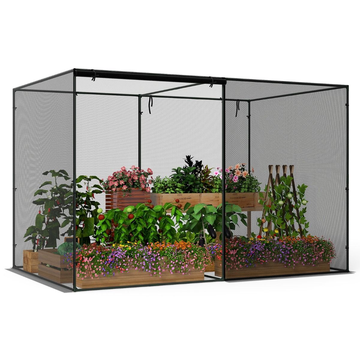 Tente pour plantes Coast - Armature métallique - Filet anti-insectes - Avec sac de transport - 310 x 200 x 200 cm - Noir
