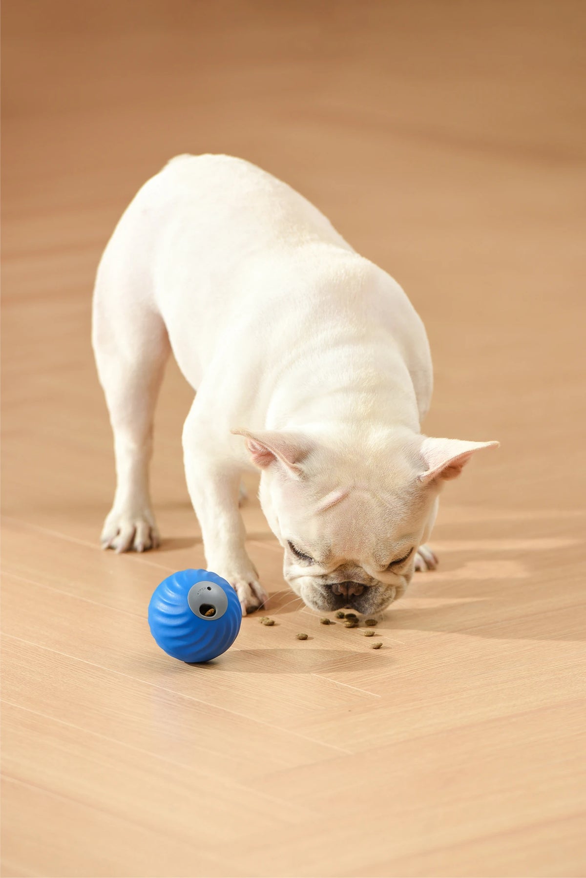Petgravity Snack Shack Ball Bleu
