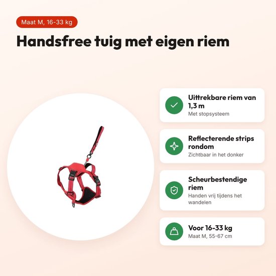 Harnais pour chien ZOLUX Easyride rouge avec laisse automatique - Taille M