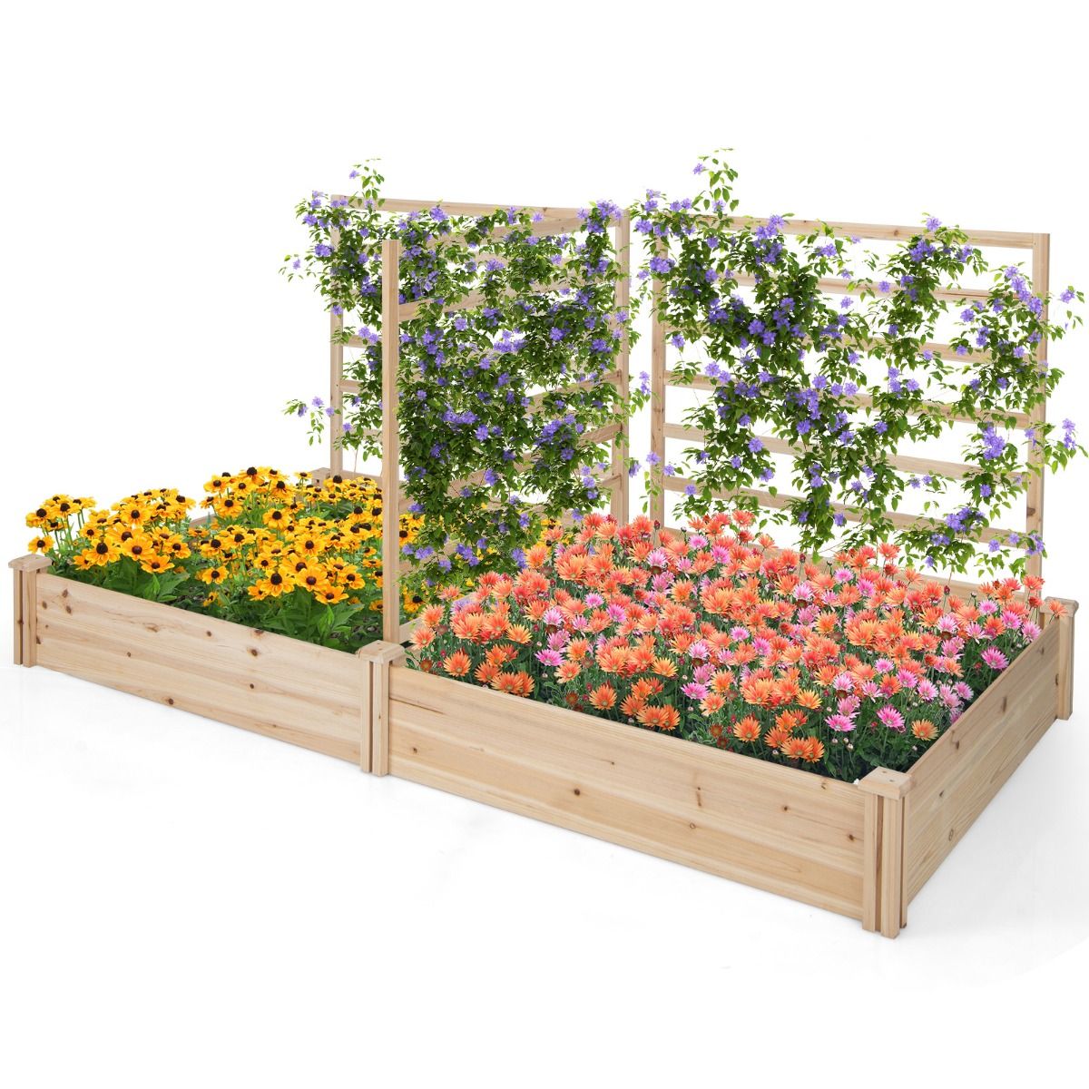 Jardinière en bois Coast avec 3 treillis - Potager surélevé - Fond ouvert - Bois de pin naturel - 222 x 114 x 110 cm