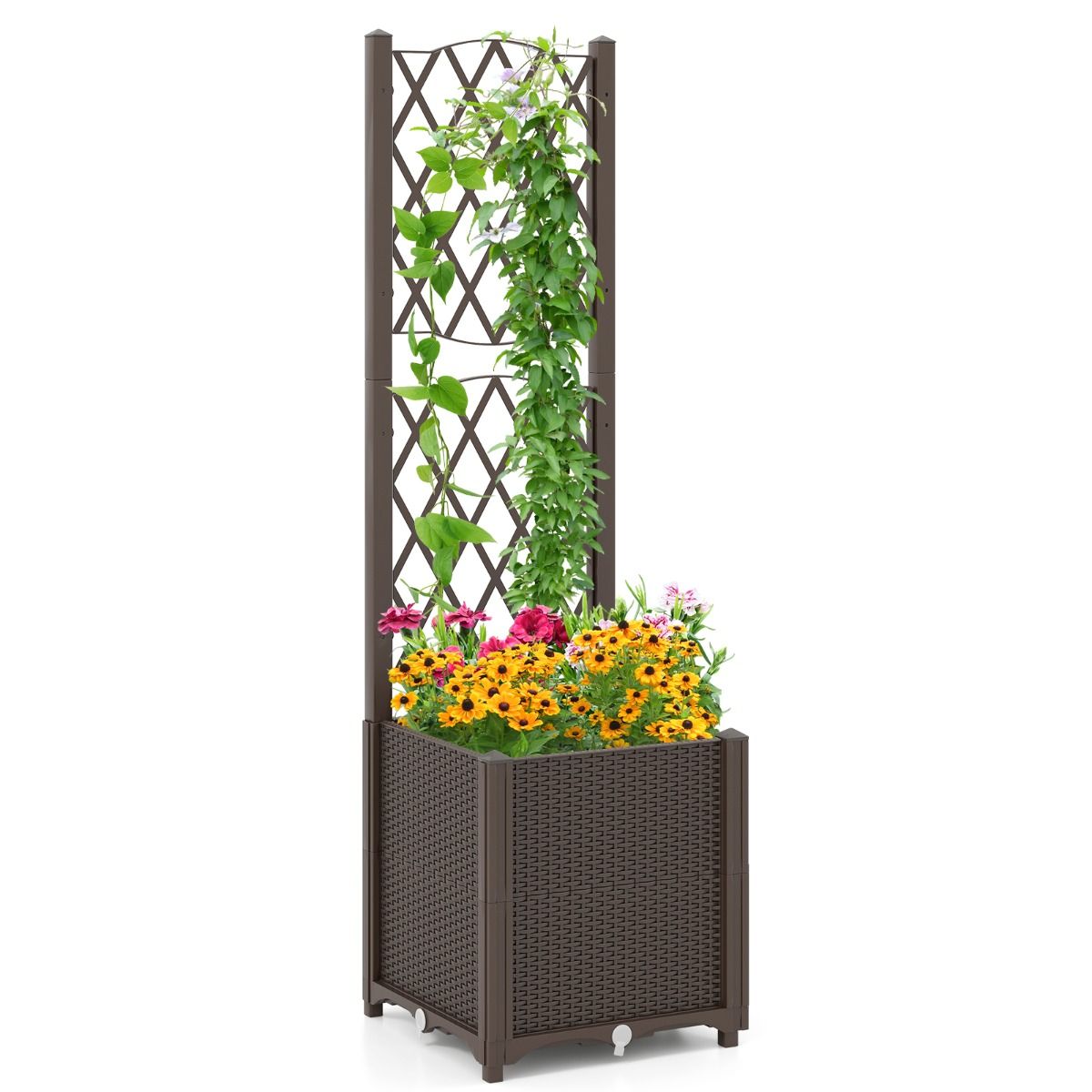 Jardinière surélevée Coast avec clôture - Système d'arrosage automatique - Extensible - Couleur café - 40 x 40 x 140 cm