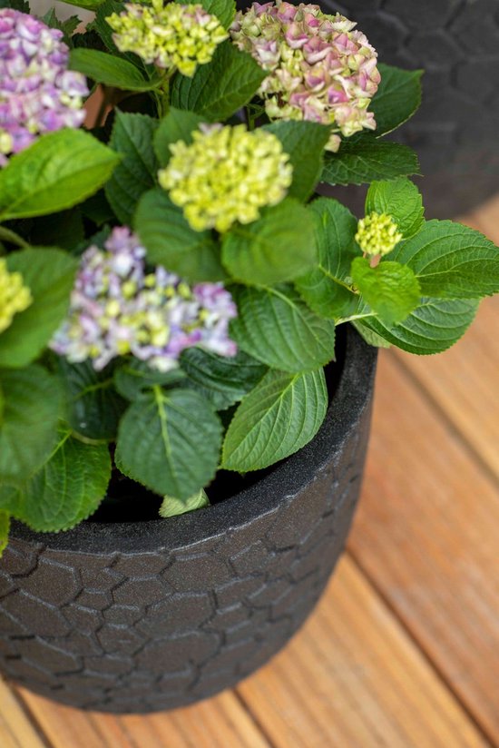 Capi Europe - Pot de fleurs Bol Clay NL - 35 x 34 - Taupe chaud - Pot de fleurs pour l'intérieur et l'extérieur - Garantie à vie - Résistant aux chocs - 100 % recyclable - Fabrication neutre en CO₂ - KWTC932