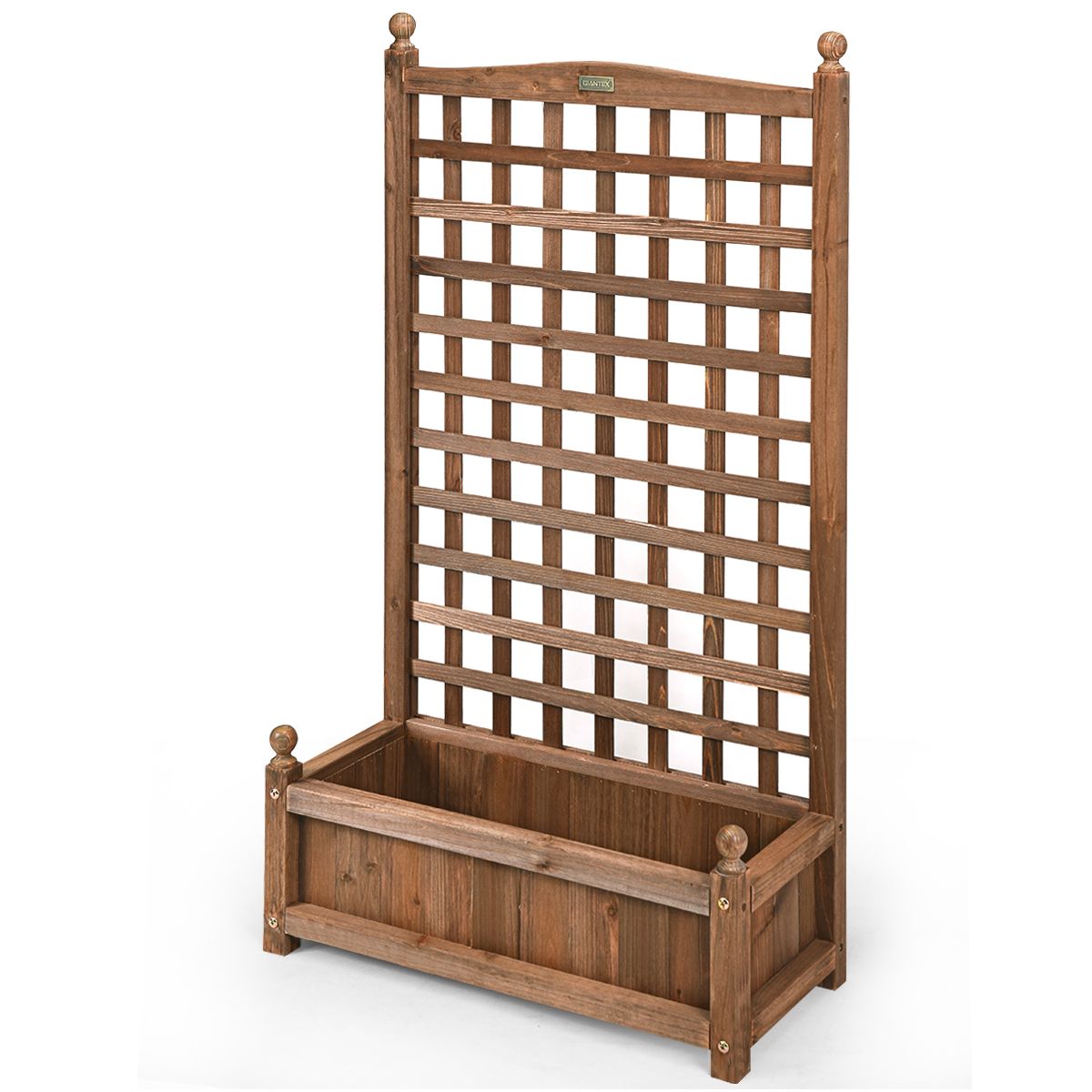 Jardinière Coast avec treillis - jardinière spacieuse - bois de pin massif - marron foncé - 64,5 x 28 x 120 cm