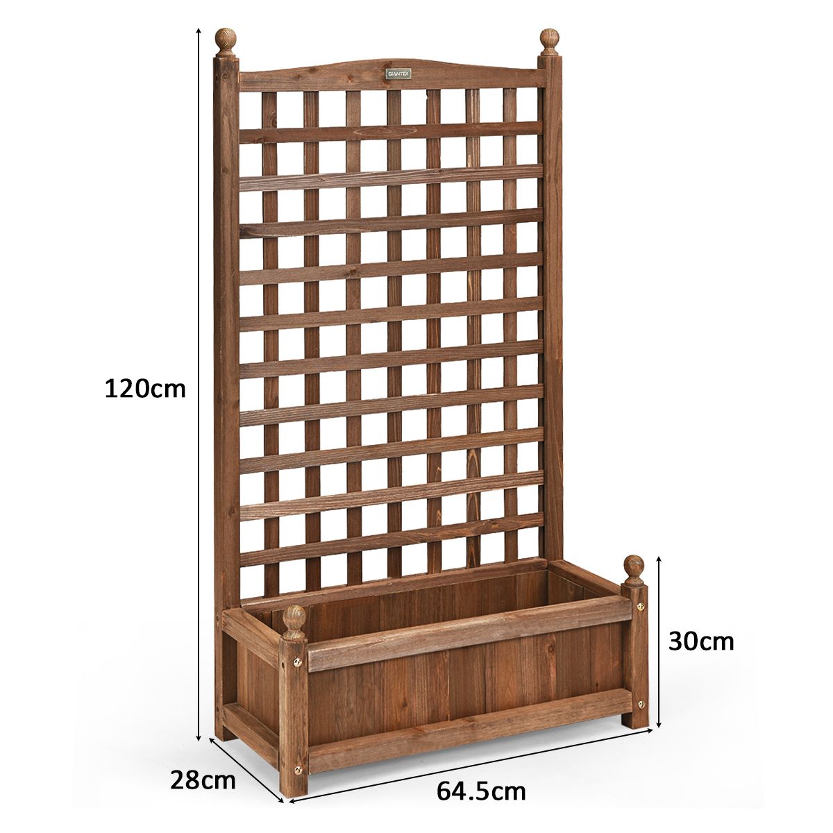 Jardinière Coast avec treillis - jardinière spacieuse - bois de pin massif - marron foncé - 64,5 x 28 x 120 cm