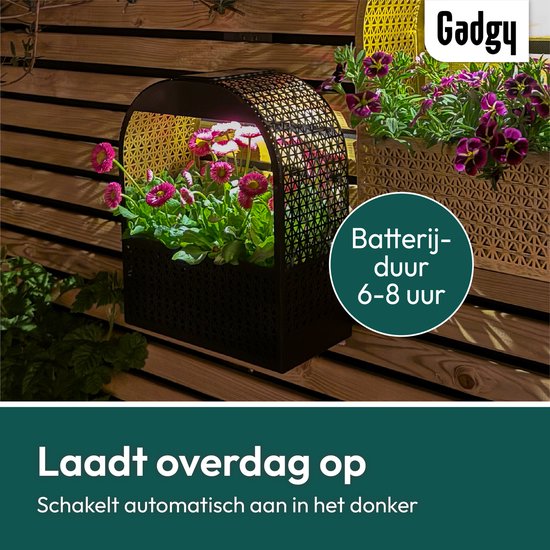 Lampe murale solaire Gadgy avec jardinière amovible – Éclairage de jardin à énergie solaire – LED blanc chaud – 30 x 25 cm – Métal noir