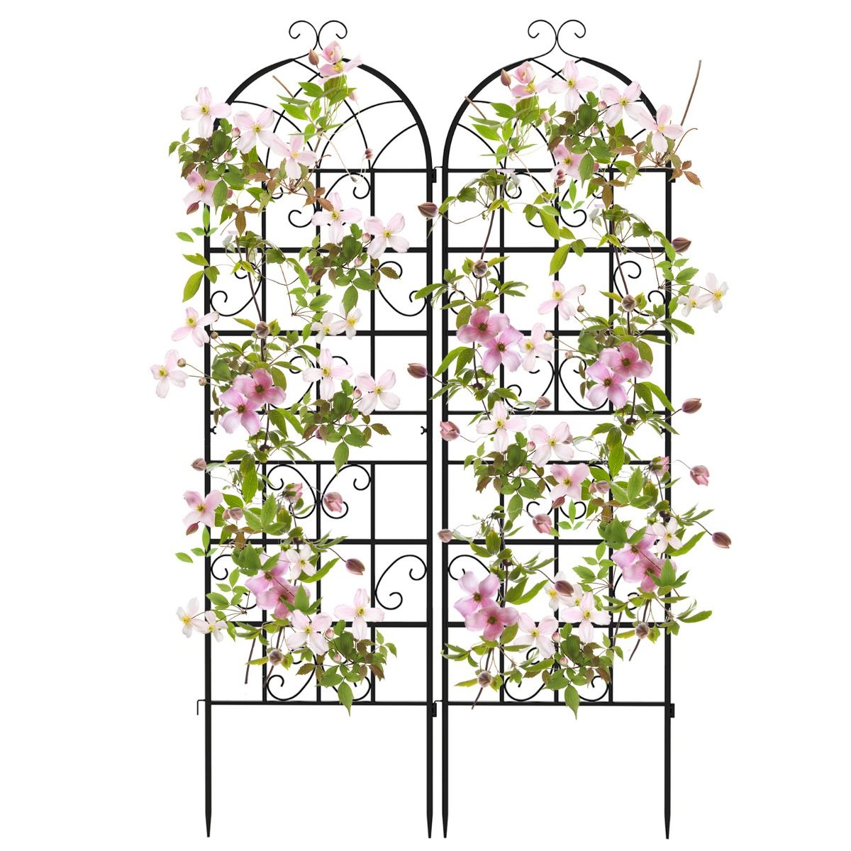Ensemble de treillis Coast - Treillis métallique pour plantes en 2 parties - Treillis de jardin autoportant - 180 x 50 cm - noir