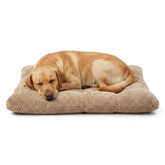 Coussin pour chien 100 x 70 cm - Coussin pour panier XXL - Lit pour chien marron - Grand coussin pour animaux - Tapis de luxe pour chien