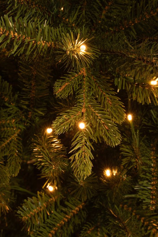 Black Box Trees Harma Artificial Christmas Tree Narrow avec LED Lights - H260 x Ø73 cm - Vert