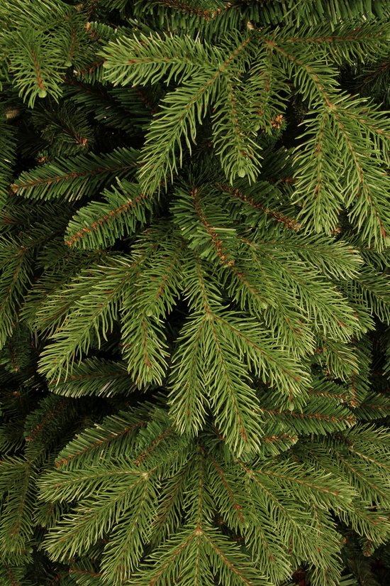 Black Box Trees Brampton Artificial Christmas Tree - H155 x Ø107 cm - Vert