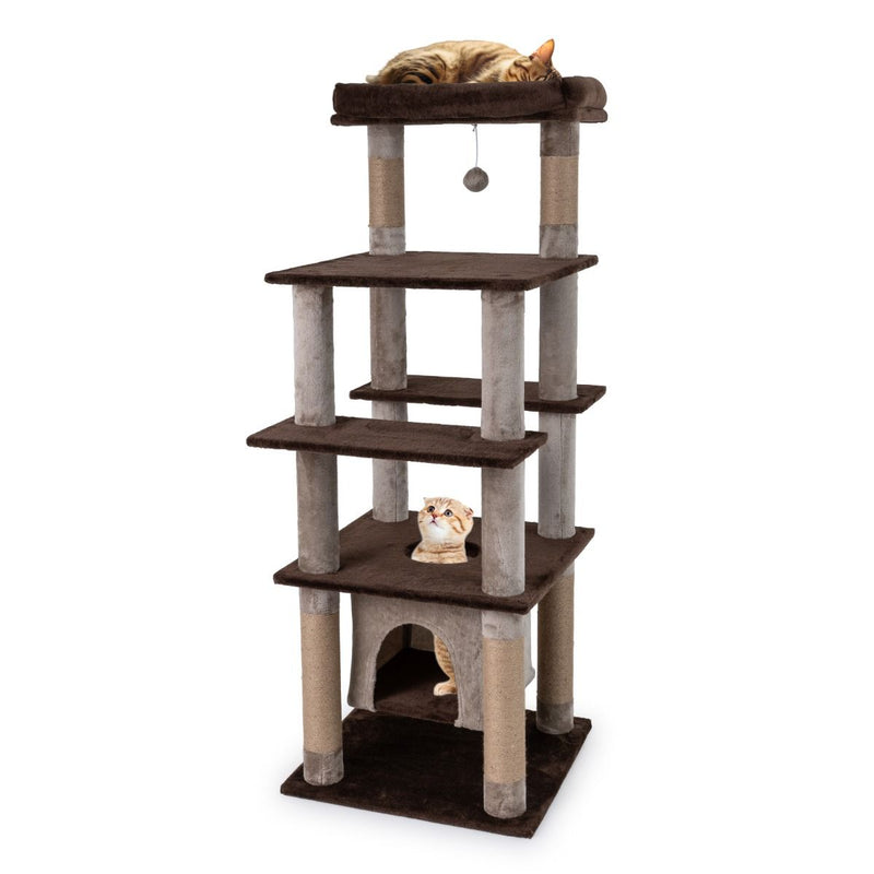 Arbre à chat Coast - plusieurs niveaux - maison pour chat à bascule - panier en peluche - marron - 56 x 56 x 148 cm