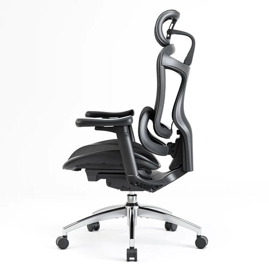 Sihoo Doro C300 : chaise de bureau ergonomique - Accoudoirs 3D - Soutien lombaire auto-ajustable - Mécanisme de réglage du poids intelligent - Dossier en maille - 3 positions d'inclinaison - Certifié TUV/SGS - Jusqu'à 150 kg - 70 x 69 x 128 cm——Noir