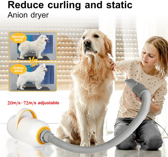 Fuegobird CL-DP Sèche-cheveux pour animaux de compagnie - Sèche-cheveux professionnel pour chiens - Conception silencieuse - 50 dB - Avec 4 embouts - Sèche-cheveux pour chiens - Avec mode aspiration - Blanc