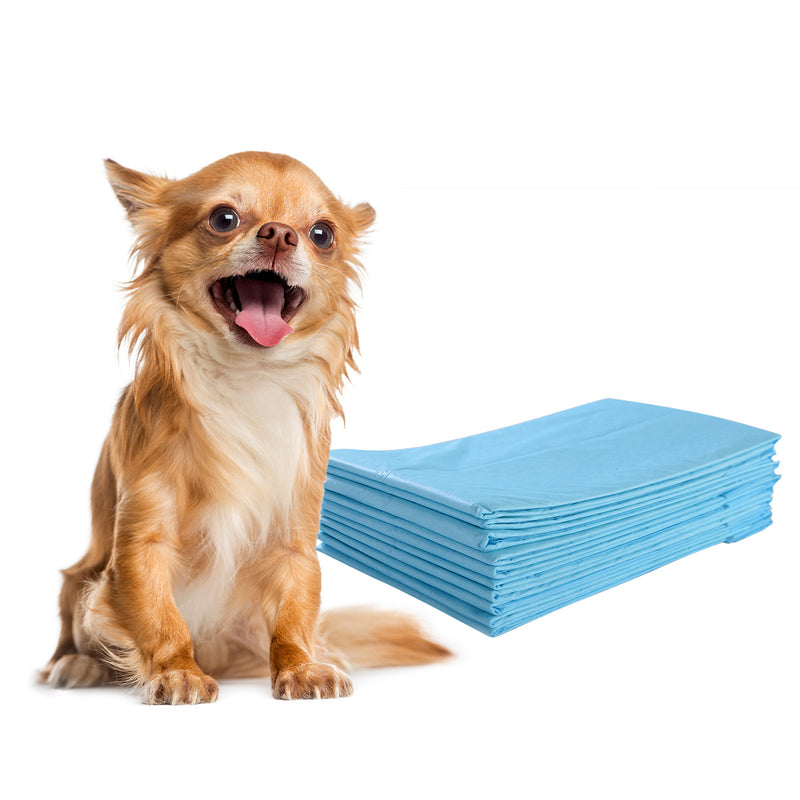 Coast 300 pièces papiers de dressage pour chiens Conception étanche à 5 plis 60 x 40 cm