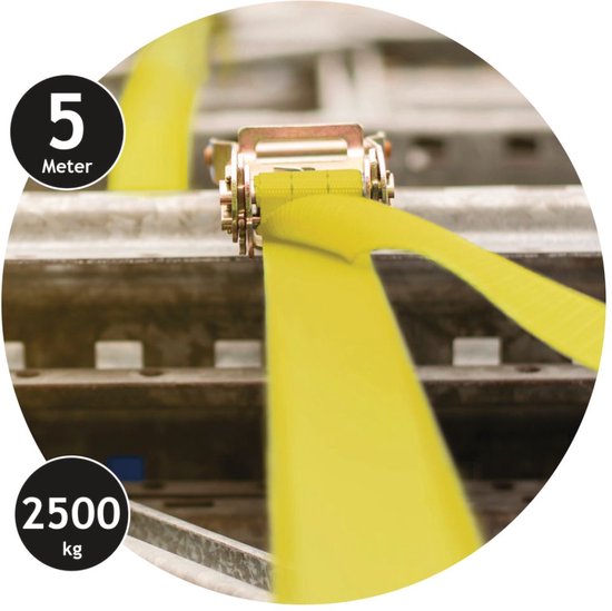 Dunlop Lashing Strap with Ratchet - 5 M - jusqu'à 2500 KG - Jaune