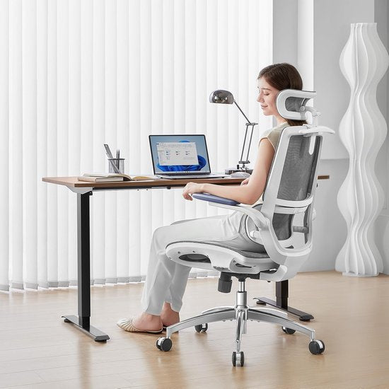 Sihoo M59AS : chaise de bureau ergonomique - Accoudoirs réglables en 3D et rabattables à 90° - Double dossier avec soutien lombaire adaptatif - Coussin d'assise en forme de selle - Maille de haute qualité - Certifié BIFMA/SGS - Jusqu'à 150 kg - 43,5 x 50,