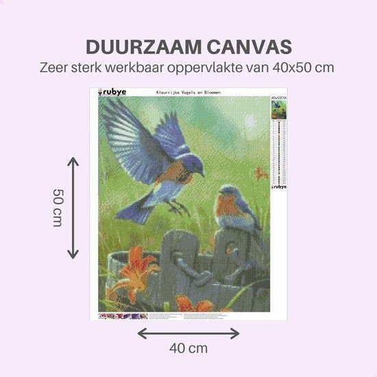 Rubye® Peinture au diamant adultes - Peinture au diamant enfants - Peinture au diamant paquet complet - Oiseaux et fleurs - 40x50cm