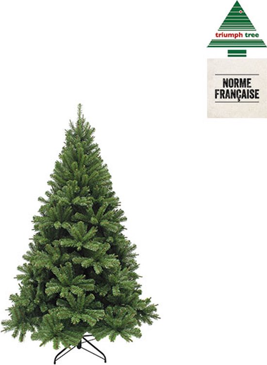 Sapin Artificiel - Triumph Tree - H155 x Ø102 cm - Vert