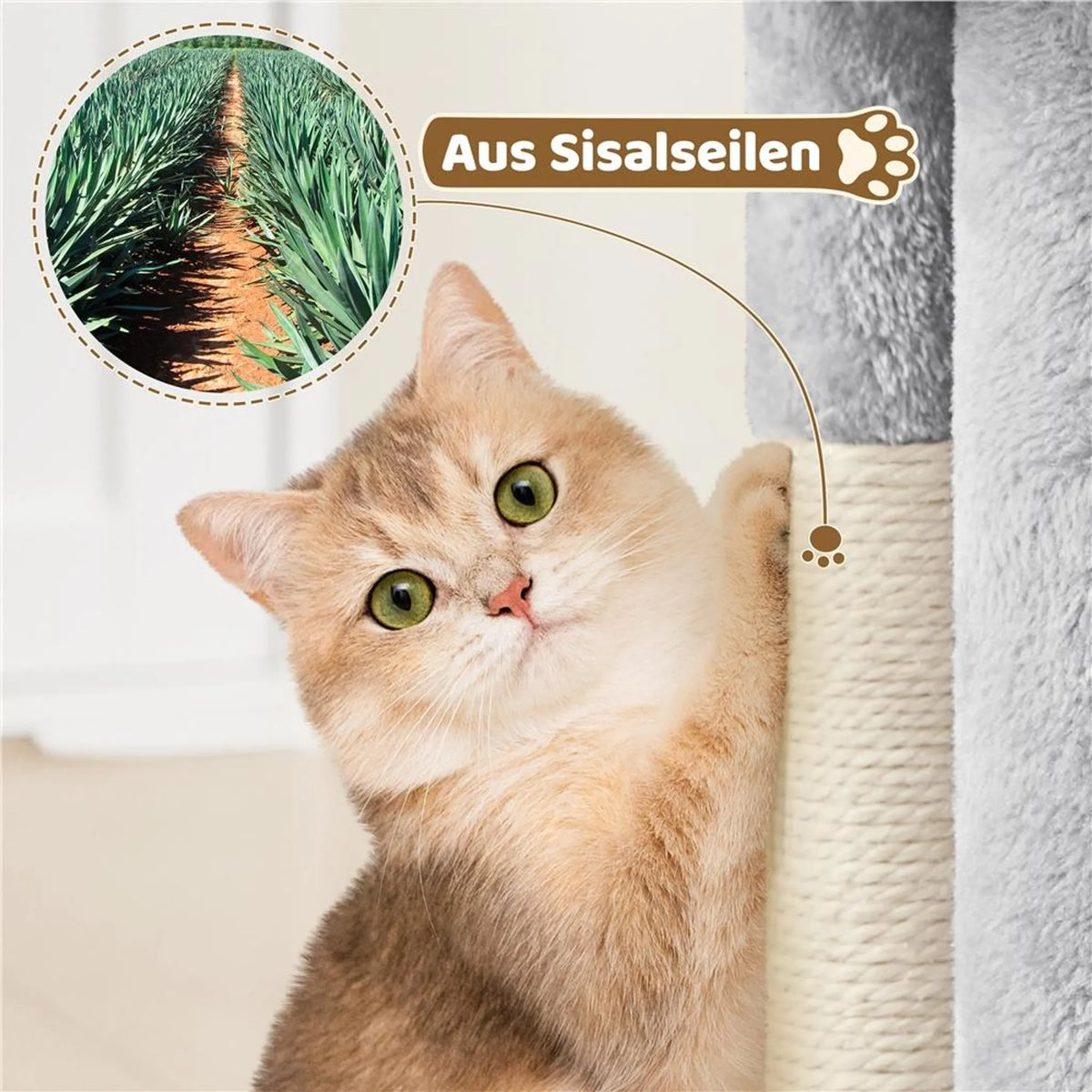 Arbre à chat Yaheetech 58 cm – avec maisonnette et poteaux en sisal, gris clair